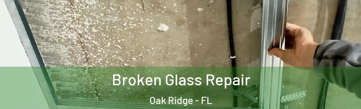 Broken Glass Repair Oak Ridge - FL