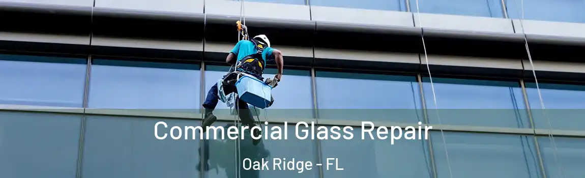  Commercial Glass Repair Oak Ridge - FL