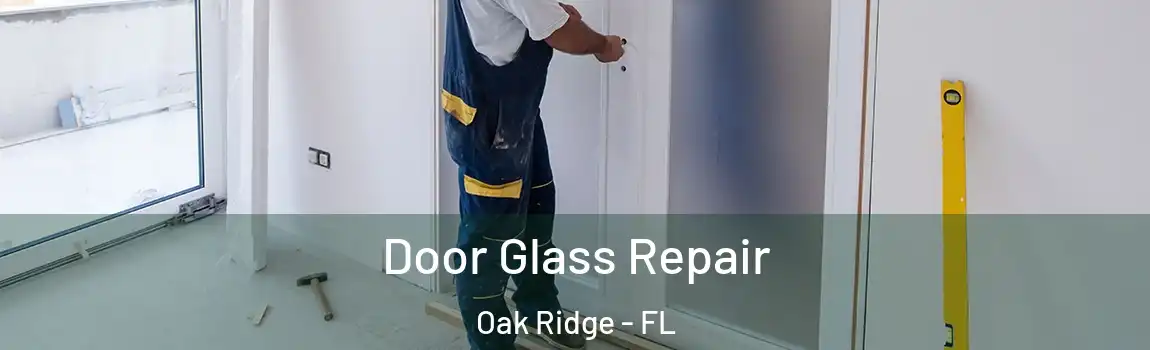  Door Glass Repair Oak Ridge - FL