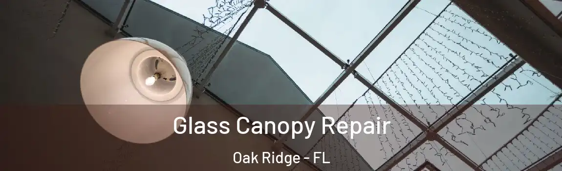  Glass Canopy Repair Oak Ridge - FL