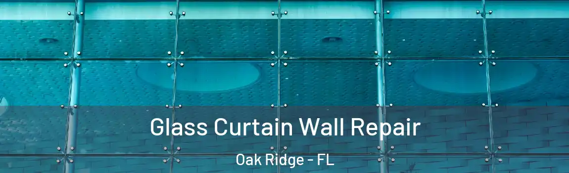 Glass Curtain Wall Repair Oak Ridge - FL