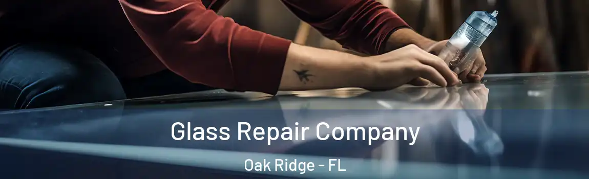  Glass Repair Company Oak Ridge - FL