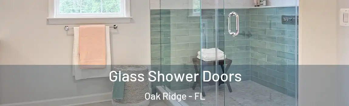  Glass Shower Doors Oak Ridge - FL
