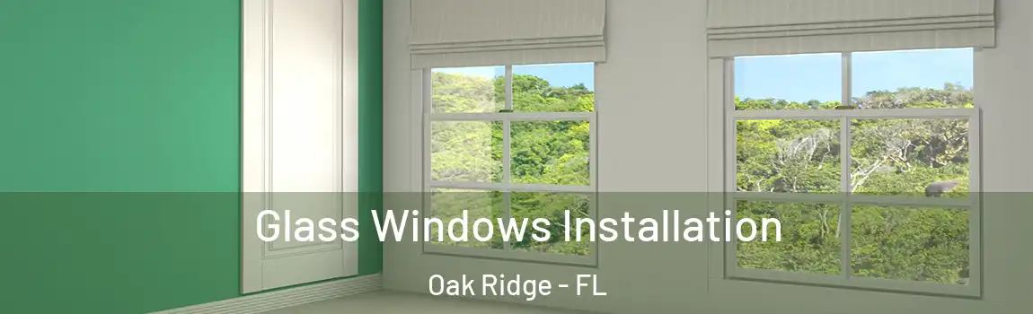 Glass Windows Installation Oak Ridge - FL