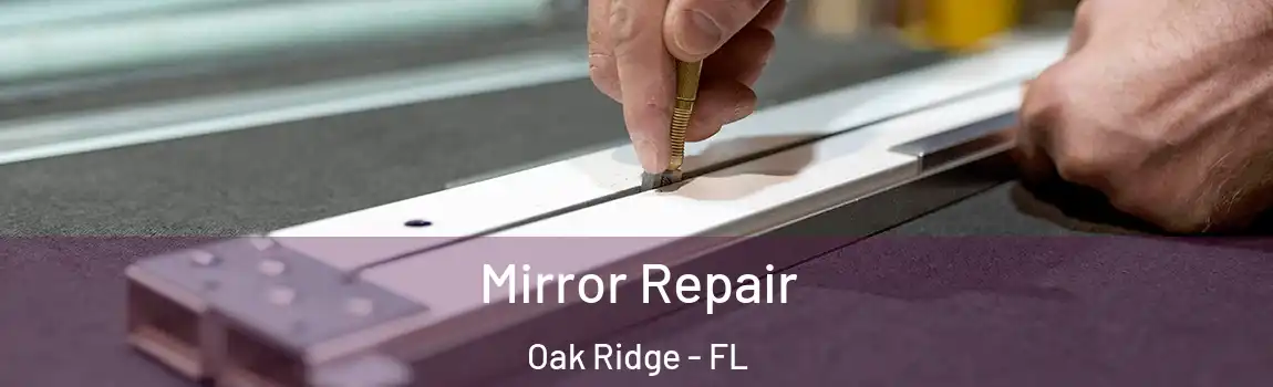 Mirror Repair Oak Ridge - FL