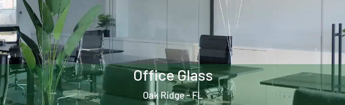  Office Glass Oak Ridge - FL