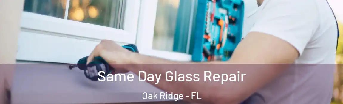  Same Day Glass Repair Oak Ridge - FL