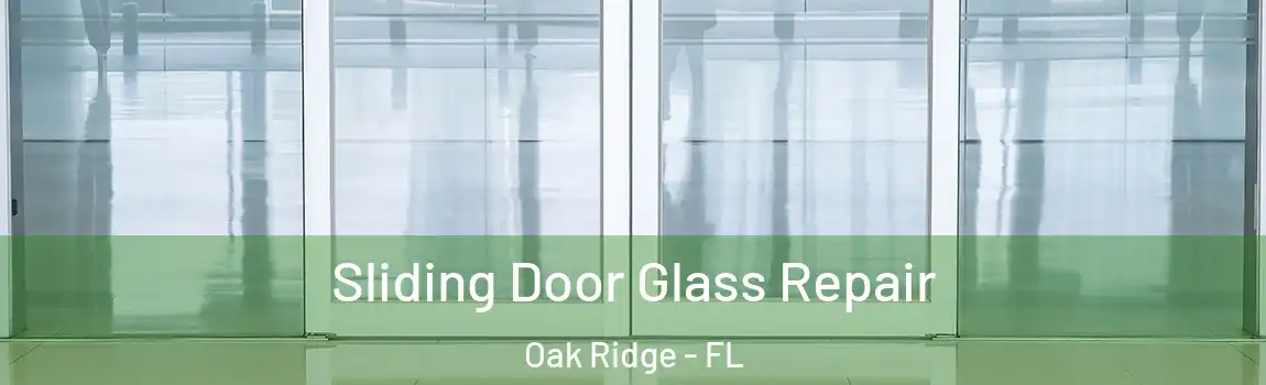  Sliding Door Glass Repair Oak Ridge - FL