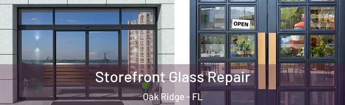  Storefront Glass Repair Oak Ridge - FL