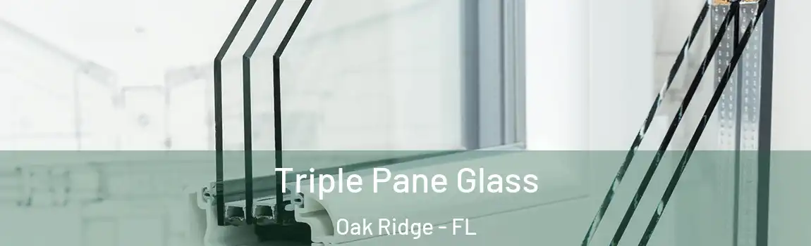  Triple Pane Glass Oak Ridge - FL