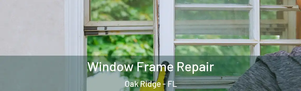  Window Frame Repair Oak Ridge - FL