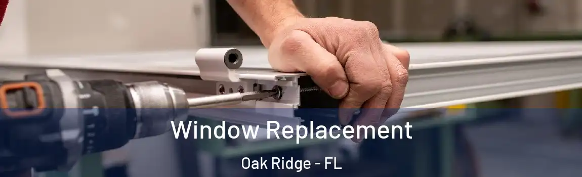  Window Replacement Oak Ridge - FL