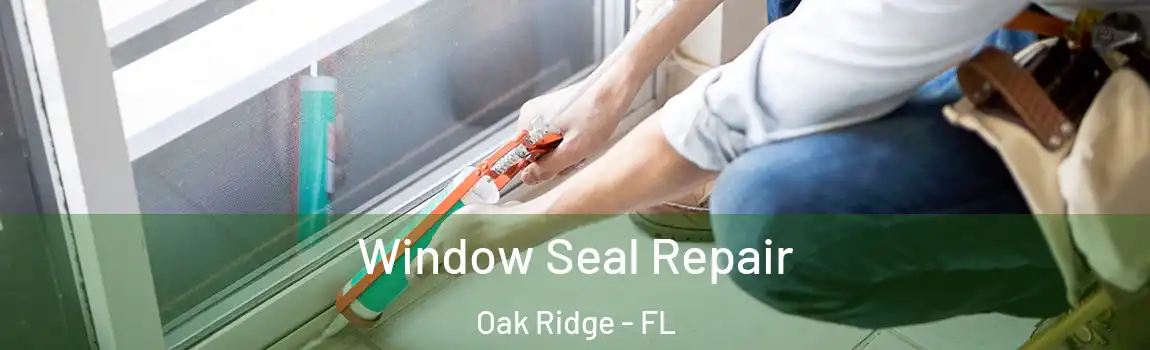  Window Seal Repair Oak Ridge - FL